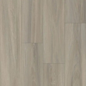 Happy Feet International Pinnacle Normandy