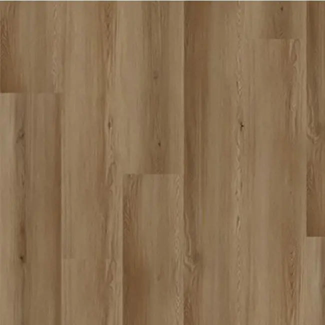 Republic North Forest Collection Oman Beige