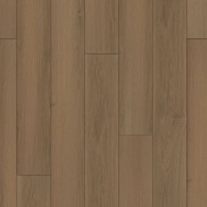 Happy Feet International Regency Oxford