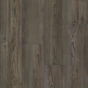 Happy Feet International Dynamite Plus Ponderosa