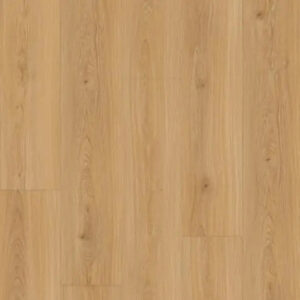 Republic Bear Woods Collection Prada Sunrise