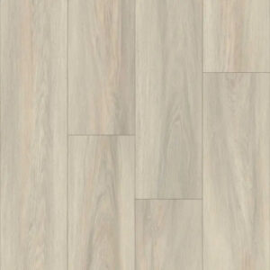 Happy Feet International Pinnacle Queensberry