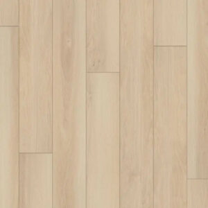 Happy Feet International Regency Sandy Bay