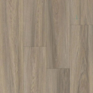 Happy Feet International Pinnacle Sussex