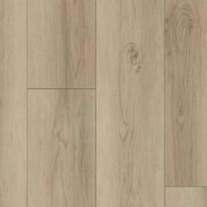 Happy Feet International Rescue Tahoe