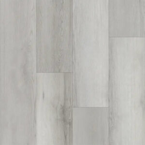 Happy Feet International Liberty Bound Ticonderoga