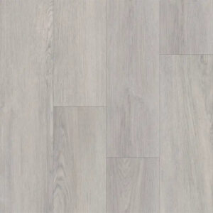 Happy Feet International Liberty Bound Trenton