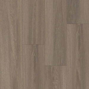 Happy Feet International Pinnacle Westminster