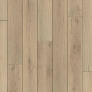 Happy Feet International Regency Windsor