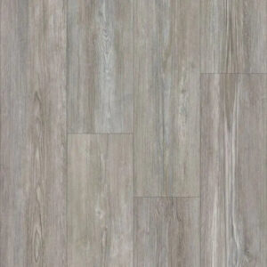 Happy Feet International Dynamite Plus Winterhaven