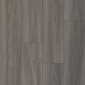 Happy Feet International Pinnacle York